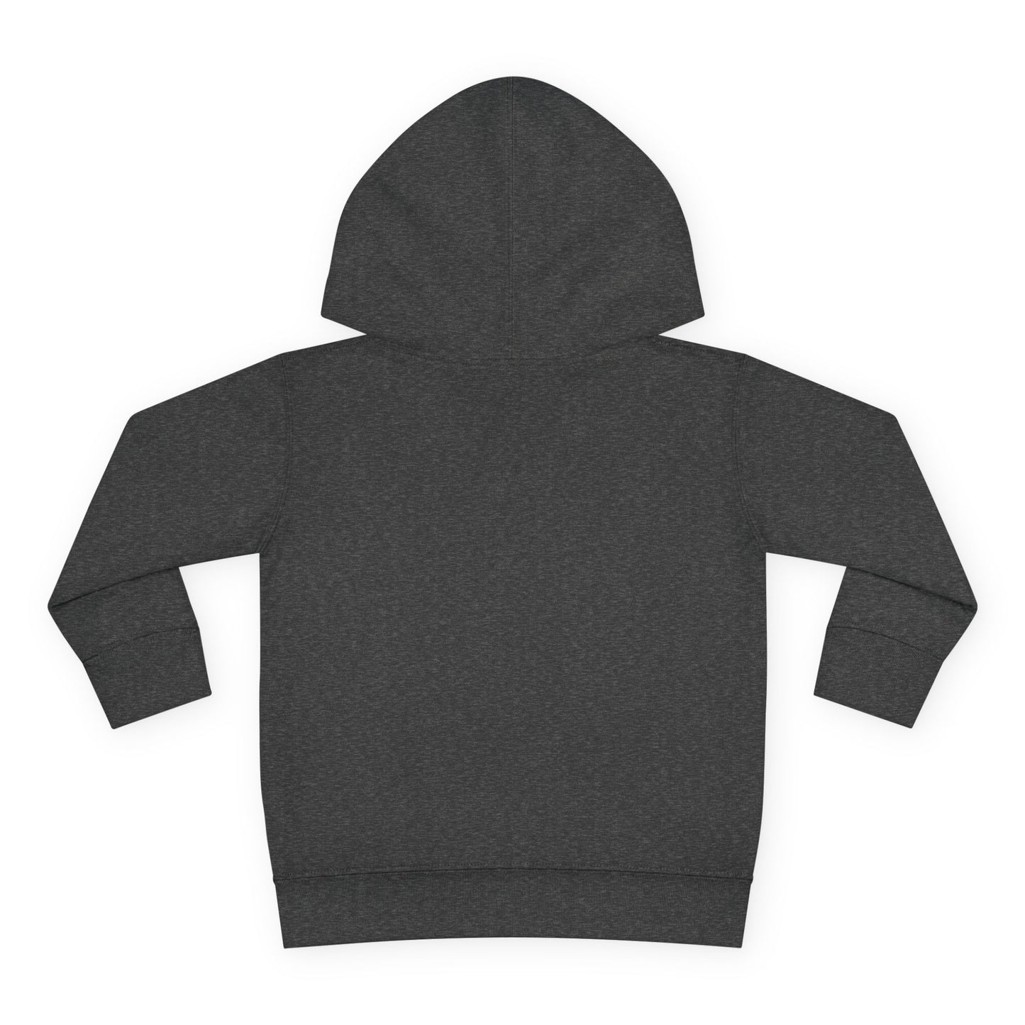 Cozy Toddler Hoodie – Perfect for Playdates, Gifts, and Chilly Days, Cute Fleece Top for Kids, Stylish Pullover, Toddler Apparel