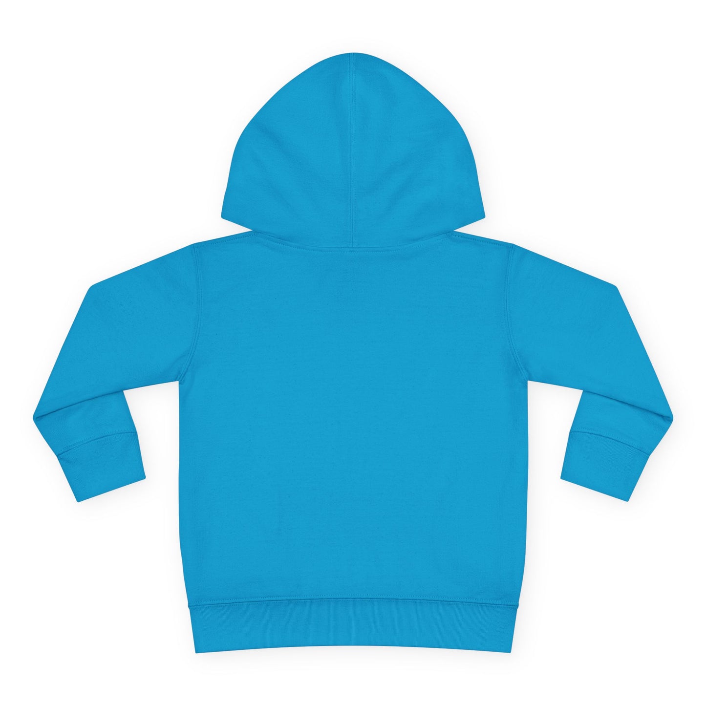 Cozy Toddler Hoodie – Perfect for Playdates, Gifts, and Chilly Days, Cute Fleece Top for Kids, Stylish Pullover, Toddler Apparel